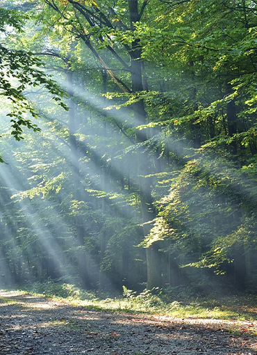 Çevre Danışmanlığı