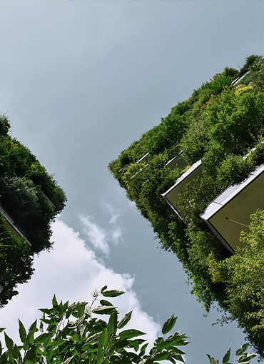 Çevresel Etki Değerlendirme (ÇED)