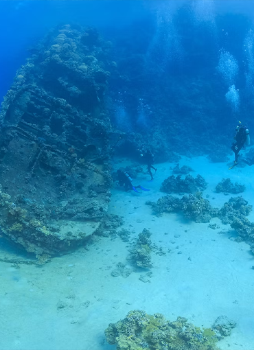 Dip Taraması Çevresel Yönetim Planı
