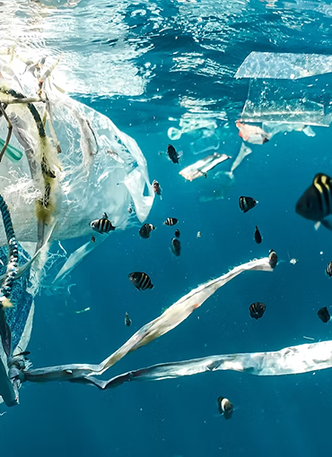 Atık Su Arıtma Sistemleri